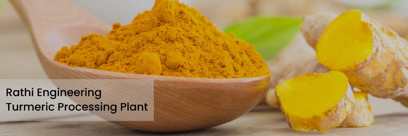 Turmeric Processing Plant